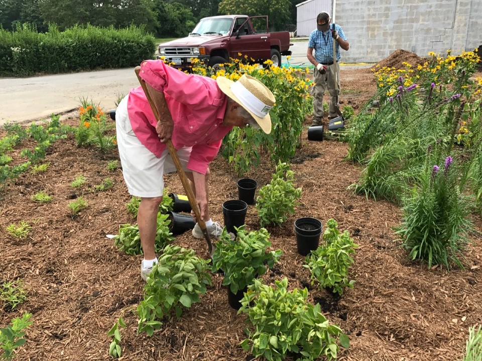Planting The Rain Garden
