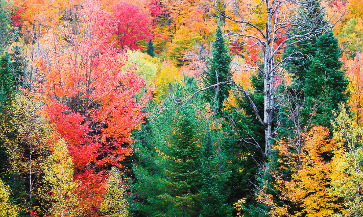 Autumn Retreat Feature