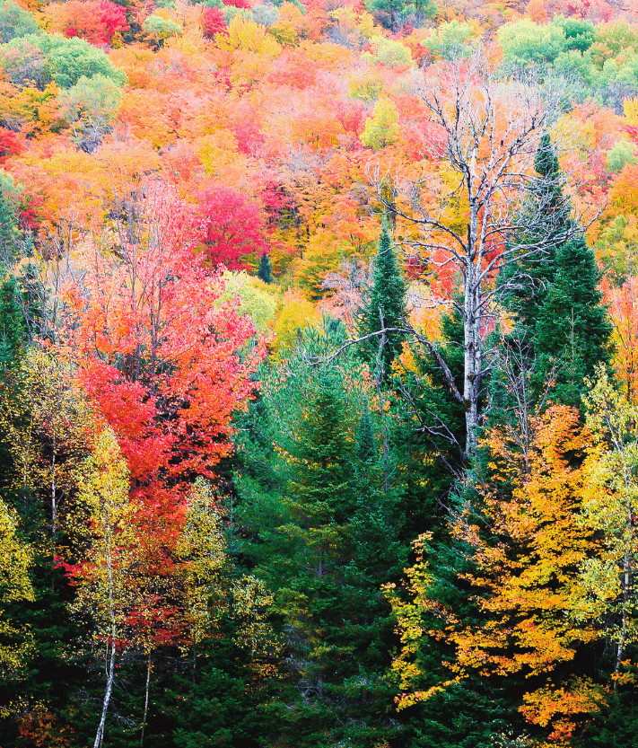 Autumn Retreat Feature