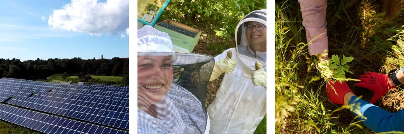 solar array, bee keepers in our Garden Ministry, and our sustainability team hard at work on our Brentwood Campus.