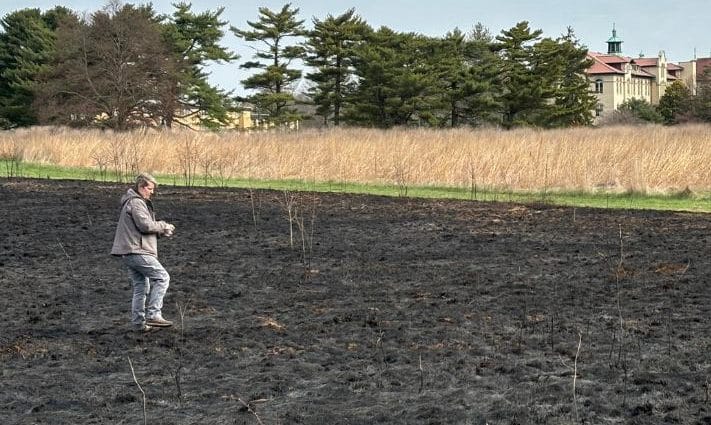 seed spreading after last year's prescribed burn