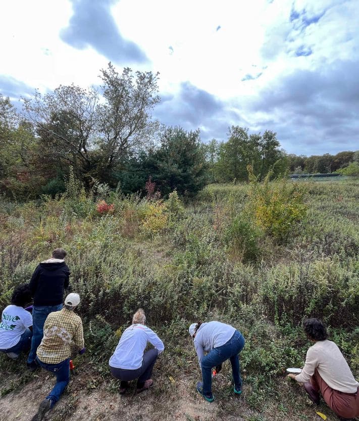 Sustainability volunteer event photo.