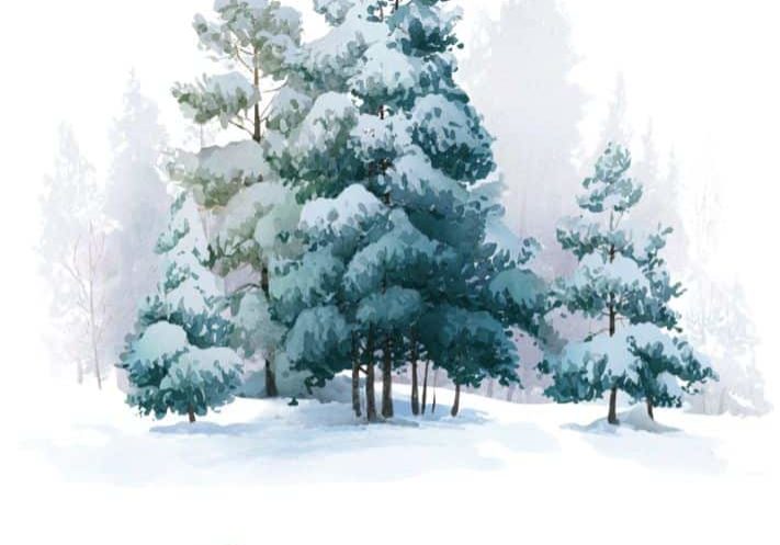 Day retreat; winter trees.