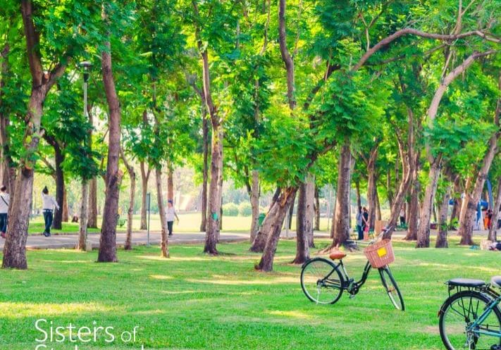 CSJ Sustainability roundtable: parks